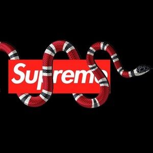 Meet your Posher, Ray